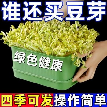 
Food grade bean sprout artifact new household super large sprout pot growing bean sprout hydroponic planting pot gardening supplies