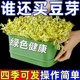 
Food grade bean sprout artifact new household super large sprout pot growing bean sprout hydroponic planting pot gardening supplies