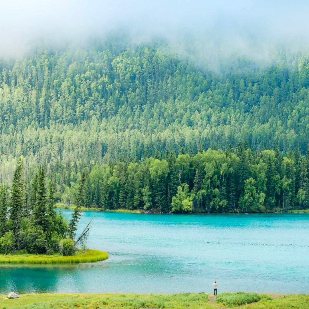 私家团北疆阿勒泰喀纳斯4天【诗意栖居白哈巴+禾木图瓦小木屋】