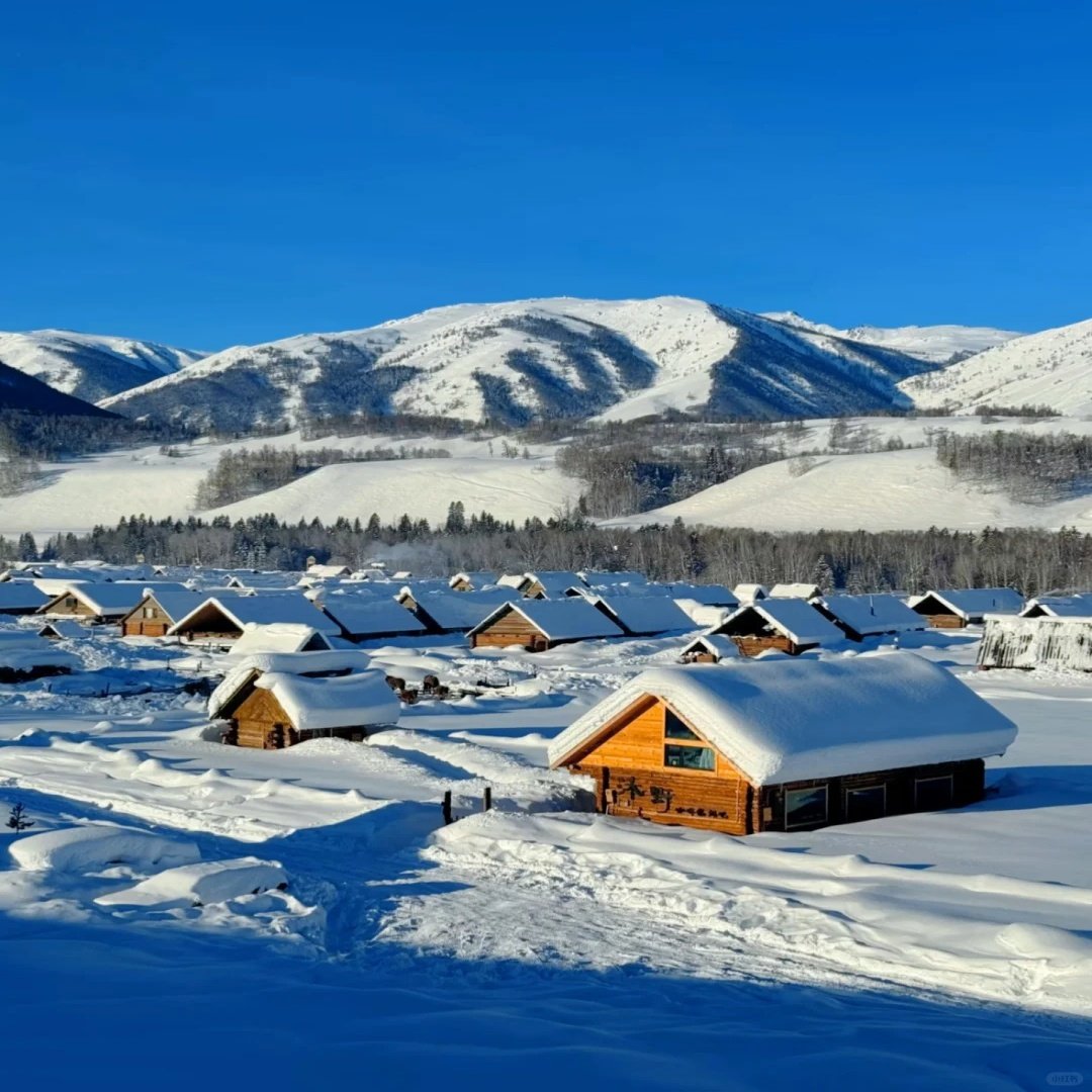 私家团新疆阿勒泰赛里木湖10天【住禾木喀纳斯景区内+星空营地】
