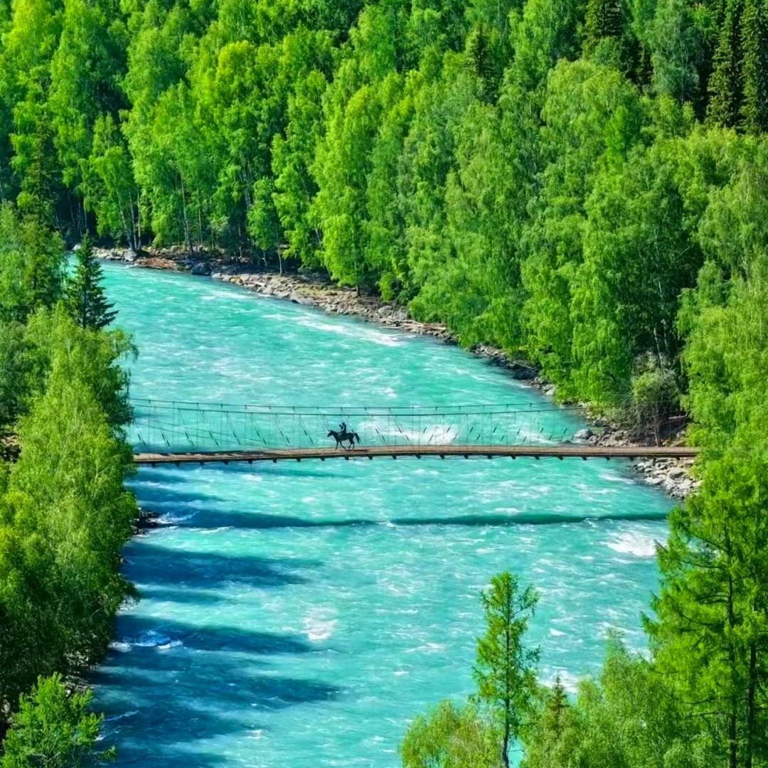 私家团北疆阿勒泰喀纳斯4天【诗意栖居白哈巴+禾木图瓦小木屋】