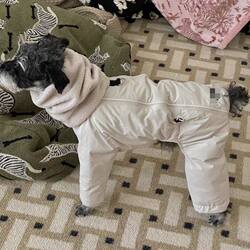 Autumn and Winter New Pet Dog Clothes Pet Four-Legged Cotton Coat Warm Puppy Clothes Teddy Winter Clothing Quilted Outing