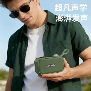 
The new 101 is connected to musical instruments and can be inserted into the microphone. Outdoor morning exercise radio audio and Bluetooth speakers can be inserted into the card for recording.
