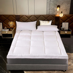 Hotel down Mattress Soft Cushion Thickened Tatami Simmons Mattress Winter Warm Mattress Student Dormitory Mattress