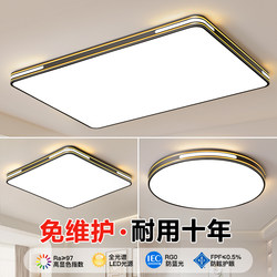 Living Room Main Light 2026 New Model, Elegant and Simple Modern Led Ceiling Light for Home, Dining Room, Bedroom, Zhongshan Lighting Fixtures