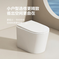 Genuine 58 Built-In Foam Shield Small-Sized Household Smart Toilet Fully Automatic Sensor Sterilization Instant Heating Toilet