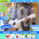 White Bear Rainbow People LYRA Composite Fiberglass Ukulele 23-inch Waterproof Outdoor Lightweight Small Guitar Girl