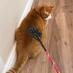 【Cat Butt Patting Enthusiasts】Cat Teaser Wand, a Small Toy to Relieve Boredom for Cats, a Dog Training Tool That Doesn'T Harm Pets