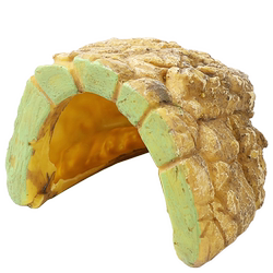 Reptile pets avoid cave turtles terrace spiders reptiles
