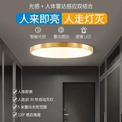 All-Copper Sensor Light, Human Body Sensing, Corridor, Entrance, Staircase, Entrance Door, Garage, Radar Smart Ceiling Light