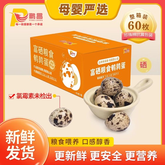 
Pengchang selenium-rich grain quail eggs 60 pieces, fresh and delicious, carefully selected for mother and baby, own farm, high quality for consumption