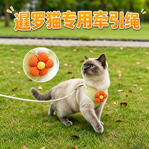 
Special kitten traction rope for Siamese cats, cat pet and kitten anti-breakaway harness, new traction cat rope