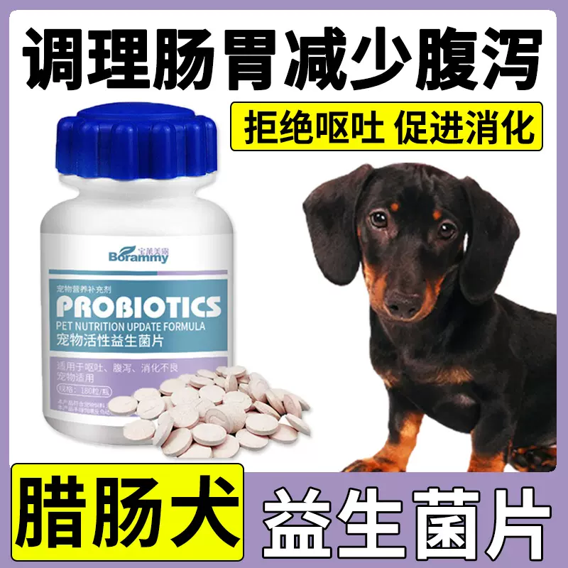 腊肠狗狗吃的钙片小型犬益生菌调理肠胃幼犬宠物