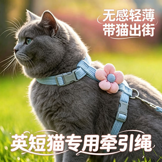 
British short blue cat special kitten traction rope cat pet kitten anti-breakaway harness chest and cat walking rope