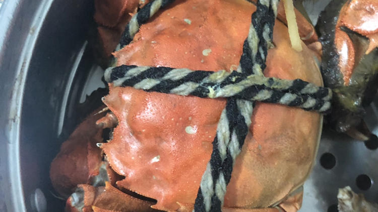 蟹香万里，终于等到你(图6)