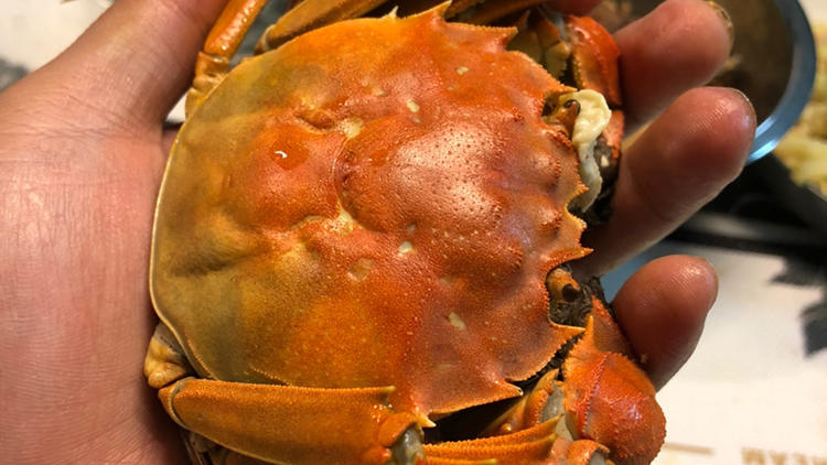 蟹香万里，终于等到你(图3)