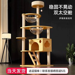 Cat Climbing Frame for Home Use, Small Apartment Cat Tree, Integrated Solid Wood Space Capsule, Space-Saving Shelf, Toys and Supplies, Cat Bed