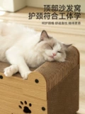 Кошка, хватая тарелку, устойчива к перхоти и играет со спящим особняком.