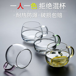 Glass Cup for Home Use with Handle, Tea Brewing Cup, ins Style Transparent Set, High Temperature Resistant, High Aesthetic Value for Women, Drinking Cup