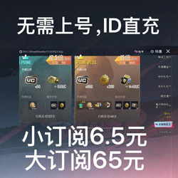 [Ignore the Risks, No Need to Log in] Pubg Mobile International Server Subscription (Can Be Purchased in Bundles)