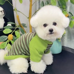 Dog Clothes for Autumn, Traction-Compatible, Anti-Shedding, Schnauzer, Teddy, Pomeranian, Bichon, Small Dog Pet Base Layer Shirt