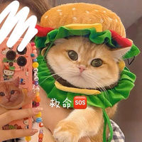 Cute Cat Hamburger Hat Pet Headgear Funny Collar