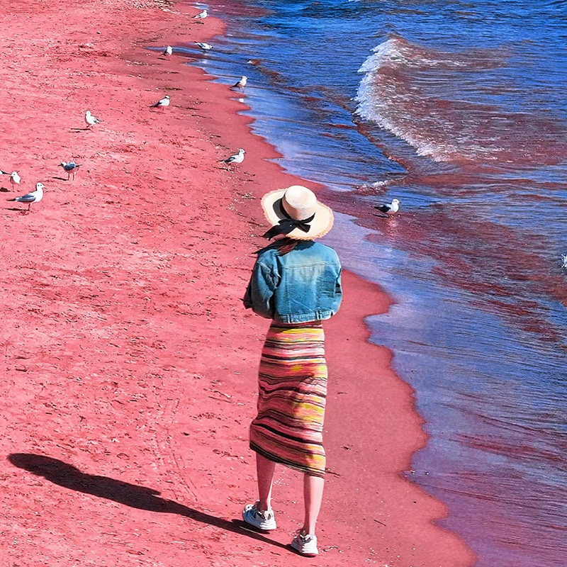 云南旅游昆明石林九乡/抚仙湖一日游纯玩团石林门票 特色中餐