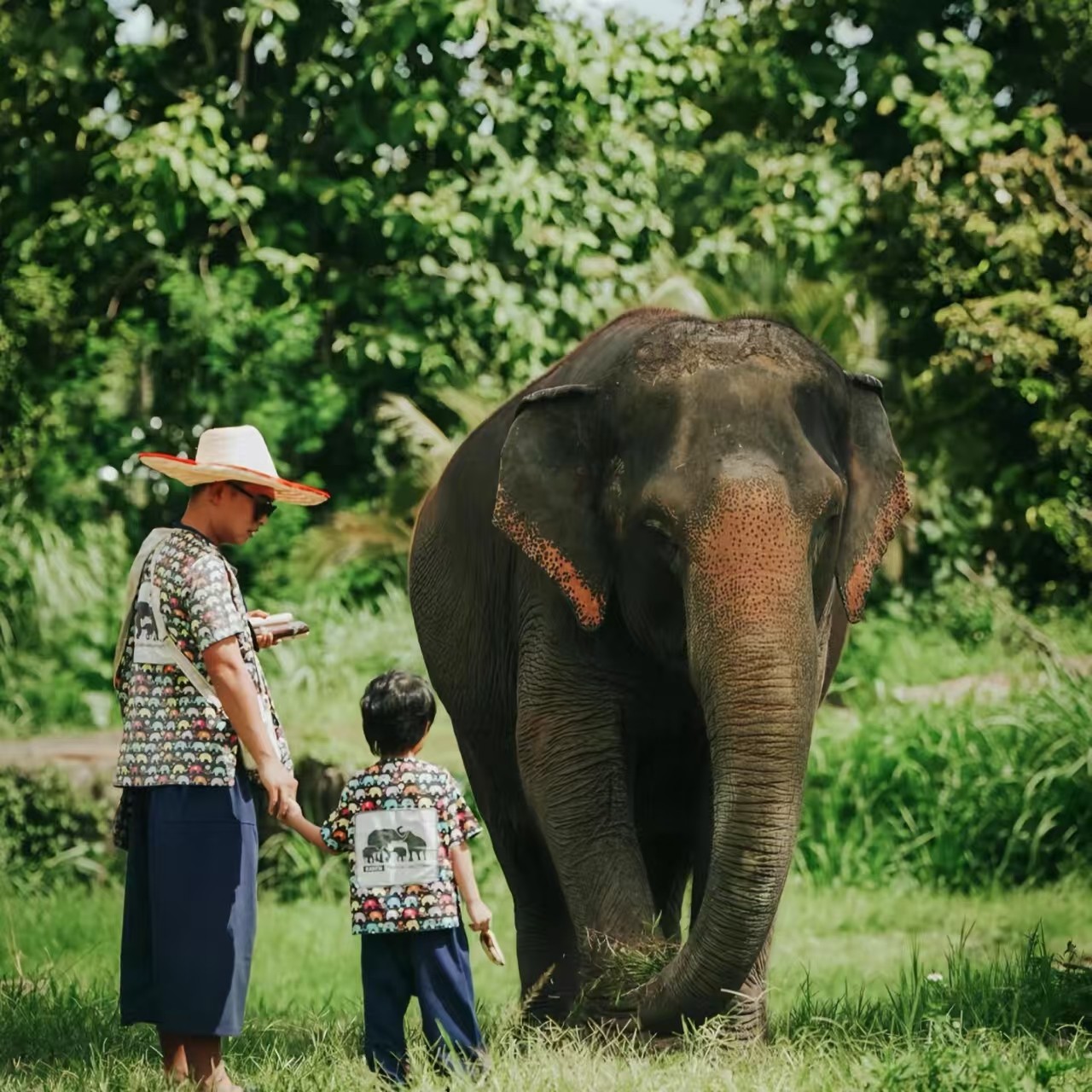 精品8人小团|云南大理丽江泸沽湖/香格里拉/西双版纳6天5晚跟团游