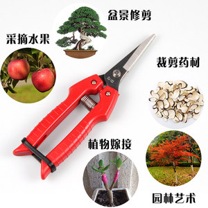 
Daji fruit picking scissors flowers express scissors green planting scissors flower simulation scissors DJ183