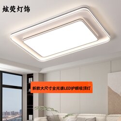 Living Room Rectangular Hall Lamp 2025 New Model American Simple Modern Full Spectrum Room Bedroom Main Light