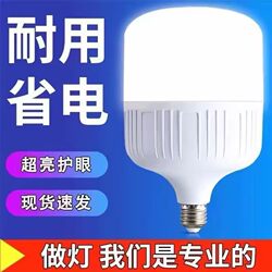 Led Light Bulb for Home Use E27 Screw Base Energy-Saving Lamp White Light Super Bright Indoor Eye Protection Flicker-Free High-Power Lighting Bulb