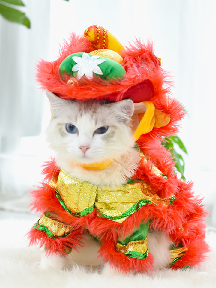 猫咪衣服搞笑搞怪装冬装
