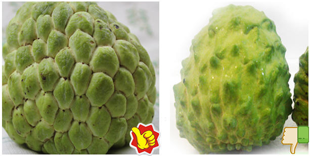 鲜水果又美味,挑出香甜可口释迦果(图6) 鲜水果又美味,挑出香甜可口释迦果(图6)