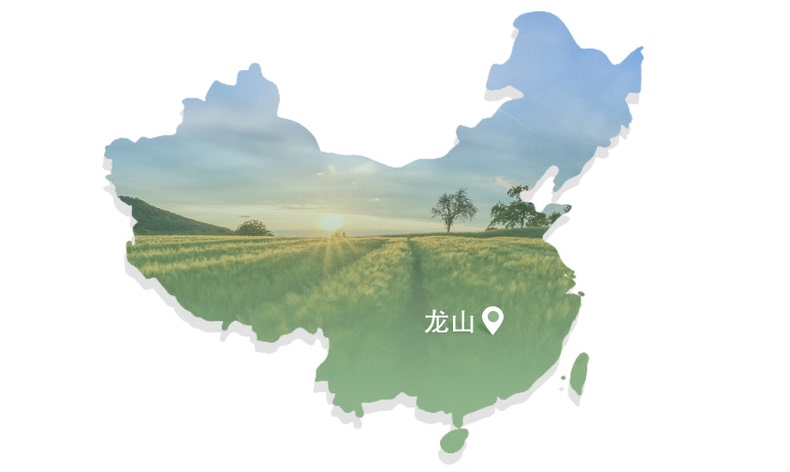 食补来助攻,五步挑选百合干(图6) 食补来助攻,五步挑选百合干(图6)