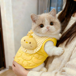 Cat Clothes for Autumn and Winter, Fleece-Lined Vest, Cute Silver Gradient Ragdoll, Warm Winter Dog Clothes, Bichon Frise Cotton Coat, Thickened