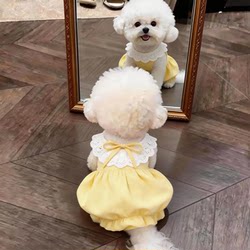 Dog Clothes Spring and Summer Pumpkin Dress Thin Breathable Outdoor Anti-Shedding Cute Bichon Pet Cat Princess Dress
