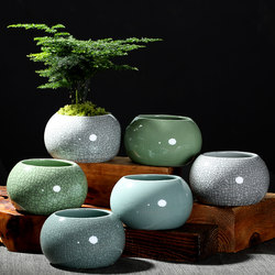 Succulent Flower Pot, Ge Kiln Ceramic, Breathable, Large, Ice-Cracked Combination, Balcony, Fresh and Creative, Office Desk, Special Clearance Sale Pot