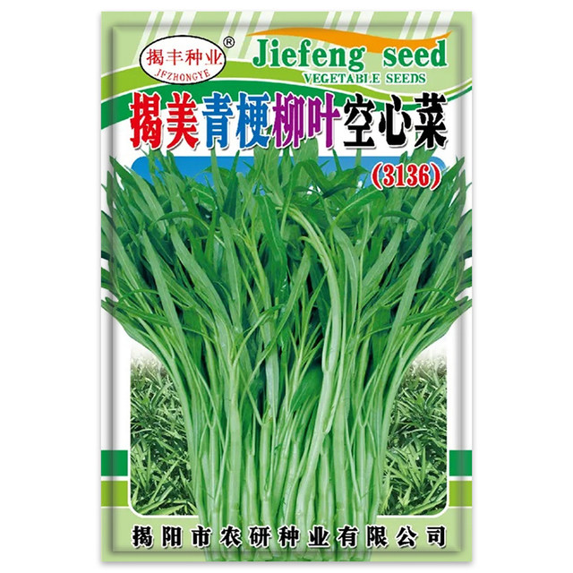 Water spinach seeds, willow leaves, white stems, water spinach, small ...