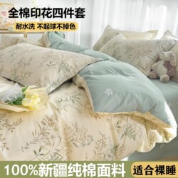 Class a Pure Cotton Four-Piece Set 100% Cotton Maternal and Infant Grade Bedding Sheets, Duvet Cover, Cartoon Dormitory Three-Piece Set 4