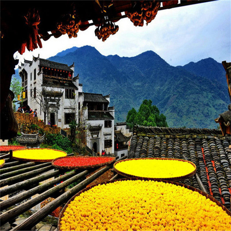 【皖南五星纯玩】徽州古城+婺源篁岭+黎阳水街品质2日游