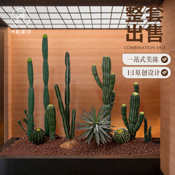 Simulated Cactus Landscaping, Tropical Desert Plants, Indoor Large-Scale Landscape Decoration, Scene Layout, Desert Green Plants