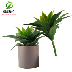 Simulated agave tiger piran fake green plant Nordic tropical desert plant agave succulent plant landscaping decoration
