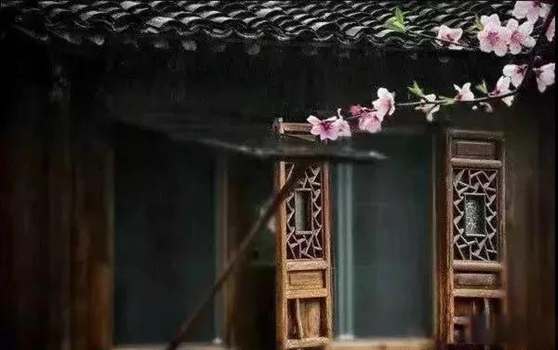 摄影 | 春天到了,这些摄影题材最容易出片-长沙SEO霜天