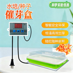Watermelon Seed Germination Incubator, Small Incubator, Constant Temperature Machine, Seedling Cultivation Tool, Temperature Control, Temperature Difference Bean Germination Box