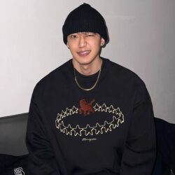 Hip Trendy Brand Fun Year of the Horse Limited Edition Crewneck Sweatshirt for Men and Women, Couple Style, Autumn and Winter Black Fleece Top