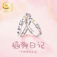 China Gold Central Cat & Dog Diary Couple Ring Sterling Silver Ring Pair of Male and Female Birthday Gifts S925
