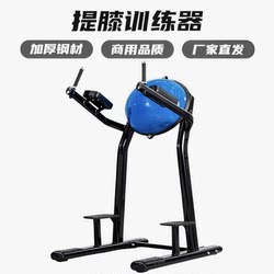 Parallel Bar Knee Lift Trainer, Abdominal Curl Knee Lift Trainer, Knee Lift Rack, Half-Ball Backrest Training Rack, Commercial Knee Lift Rack