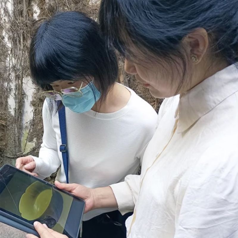 三毛游◆孔庙与孔府3小时金牌导游深度讲解门票小团金牌导大咖解