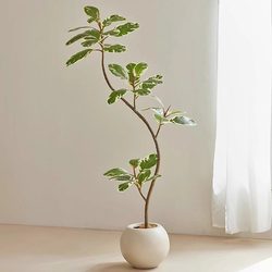 Artificial Green Plant Rubber Tree Golden Banyan High-End Light Luxury Living Room Decoration Large Floor-Standing Wabi-Sabi Style Simulated Fake Plant