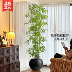 Artificial Bamboo with a Vintage Style for Decorative Landscaping, Indoor Soft Furnishings, Light Luxury Ornaments, Green Plant Partitions, Screens, and Dense Artificial Plants